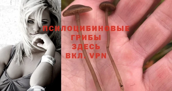 apvp Алексеевка