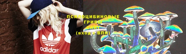 таблы Алексин