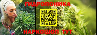 скорость Гай