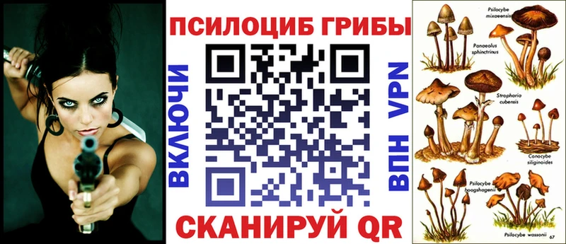 Галлюциногенные грибы Magic Shrooms  kraken зеркало  Тайшет 