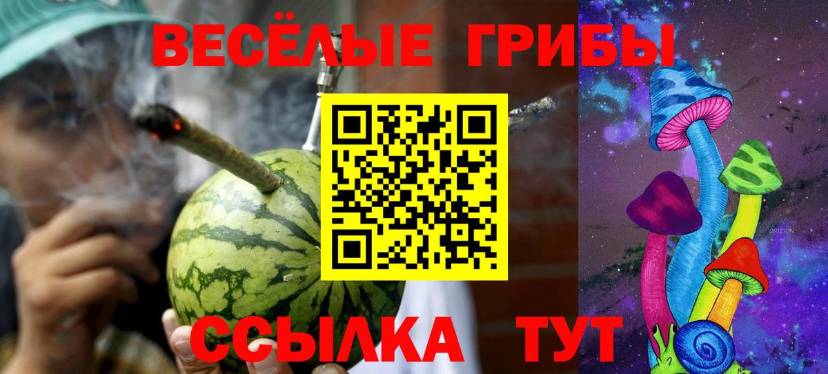 Тайшет  Галлюциногенные грибы ЛСД  Вход с VPN 